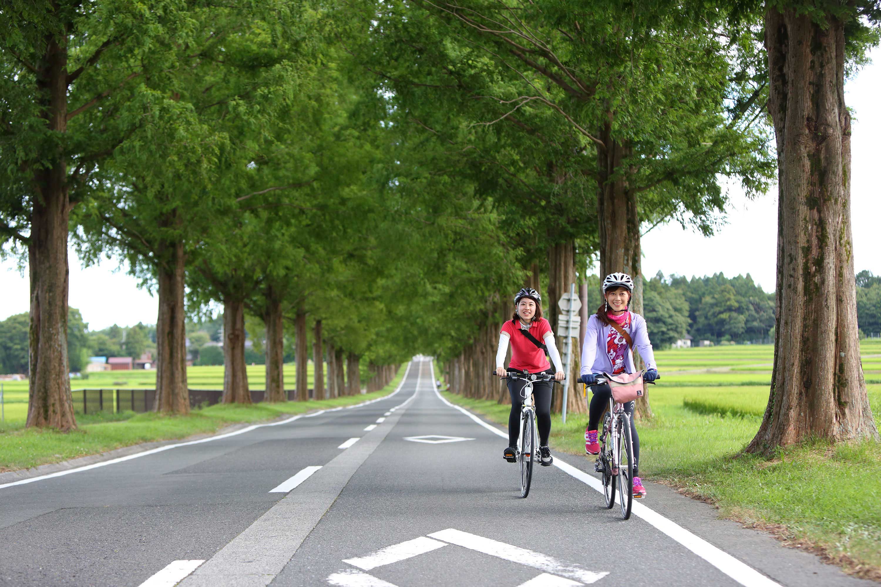 琵琶湖 一周 自転車